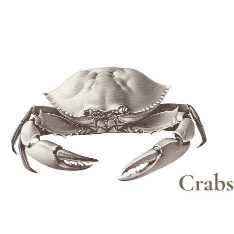 Crabs